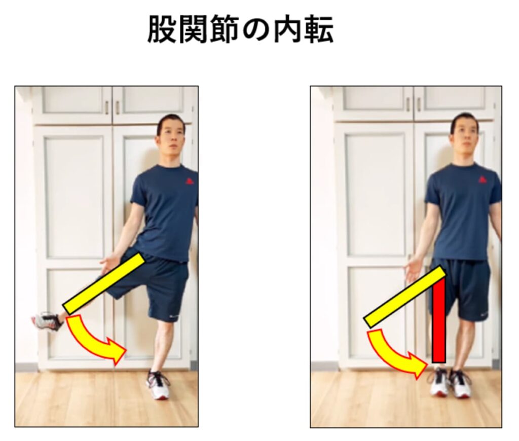 股関節の内転、立位