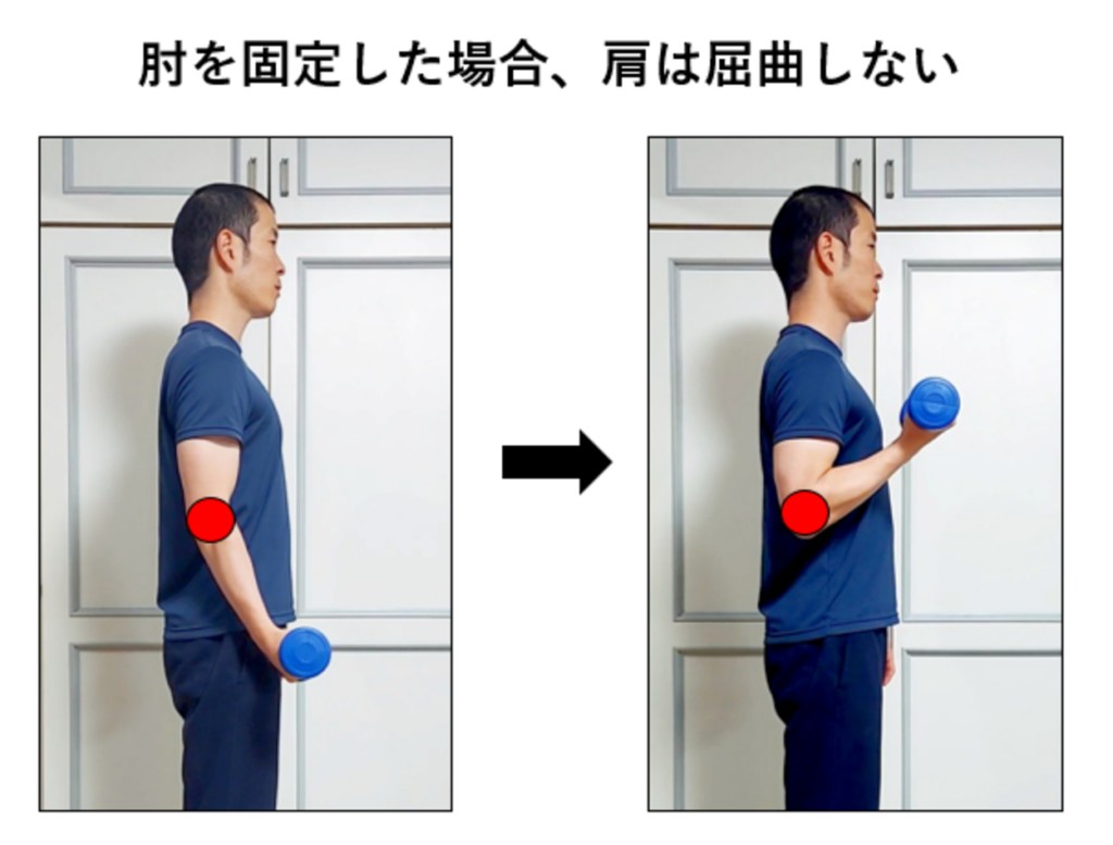 アームカール・肘固定