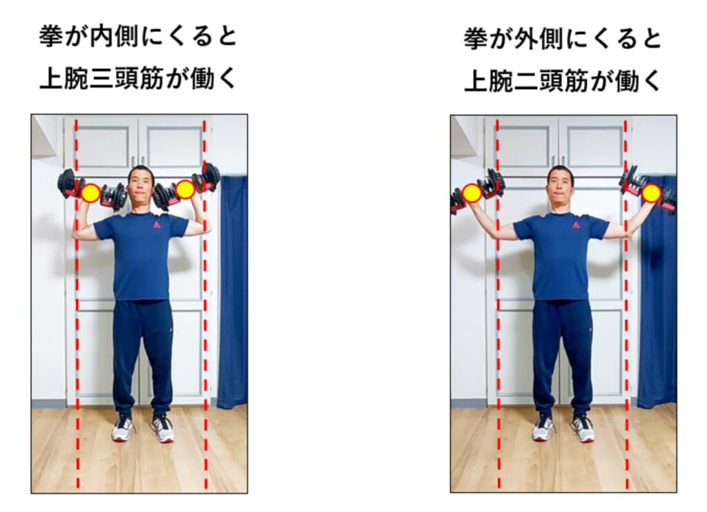 ダンベルショルダープレス・拳の位置の説明2