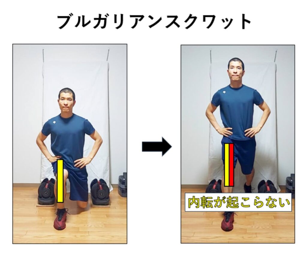 ブルガリアンスクワットでの股関節の内転の説明
