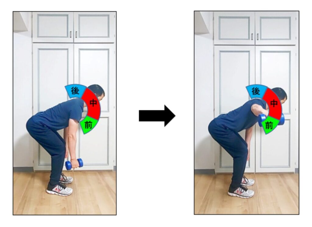 リアレイズで三角筋の後部が鍛えられる仕組みの説明
