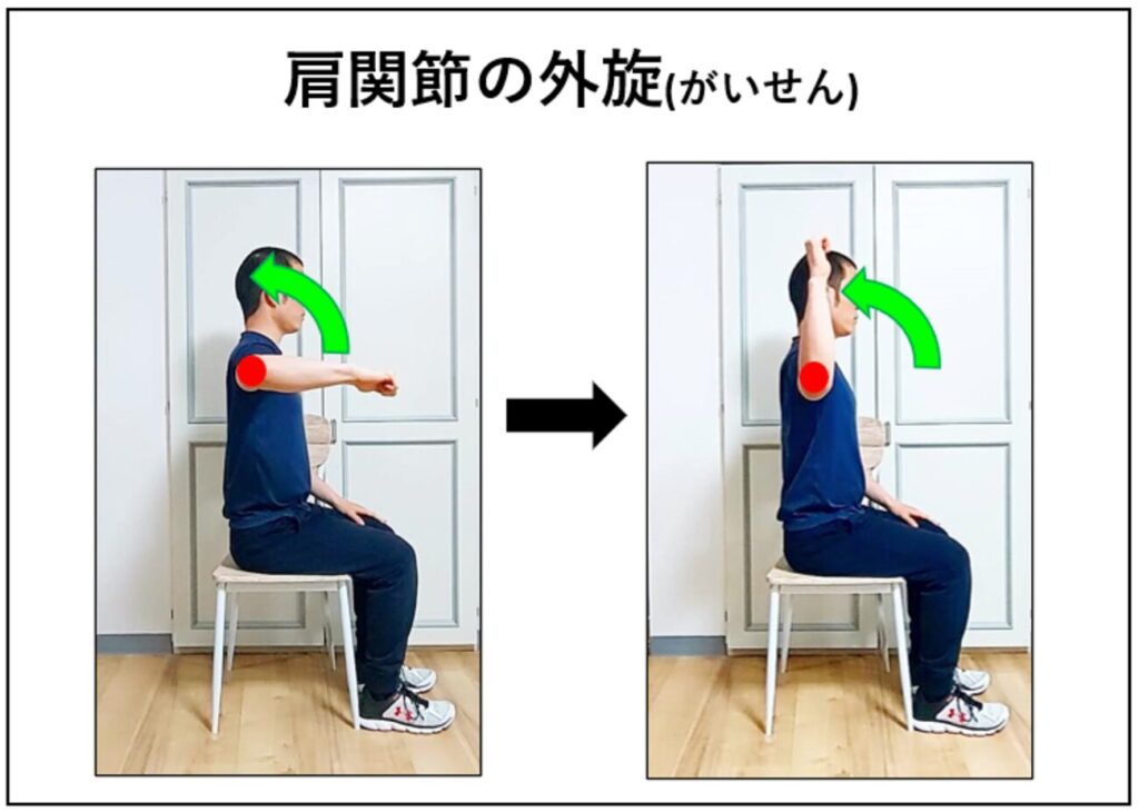 肩関節の外旋の説明