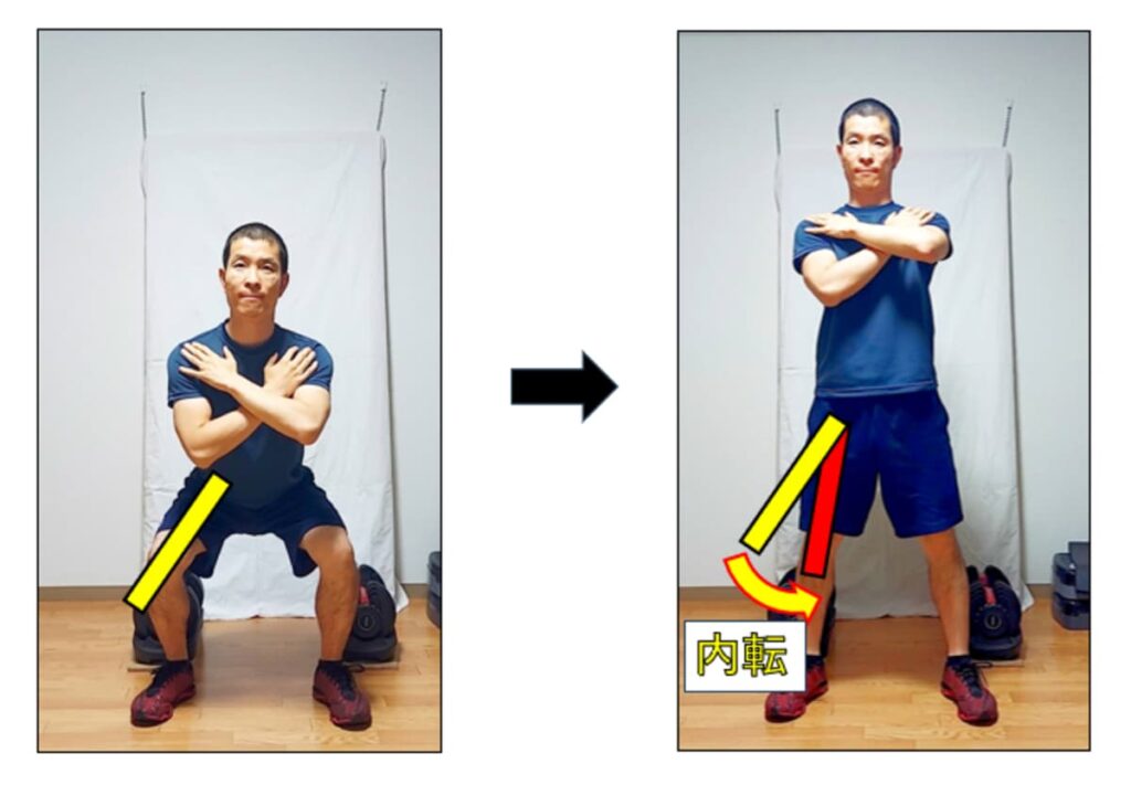 通常のスクワットでの股関節の内転の説明