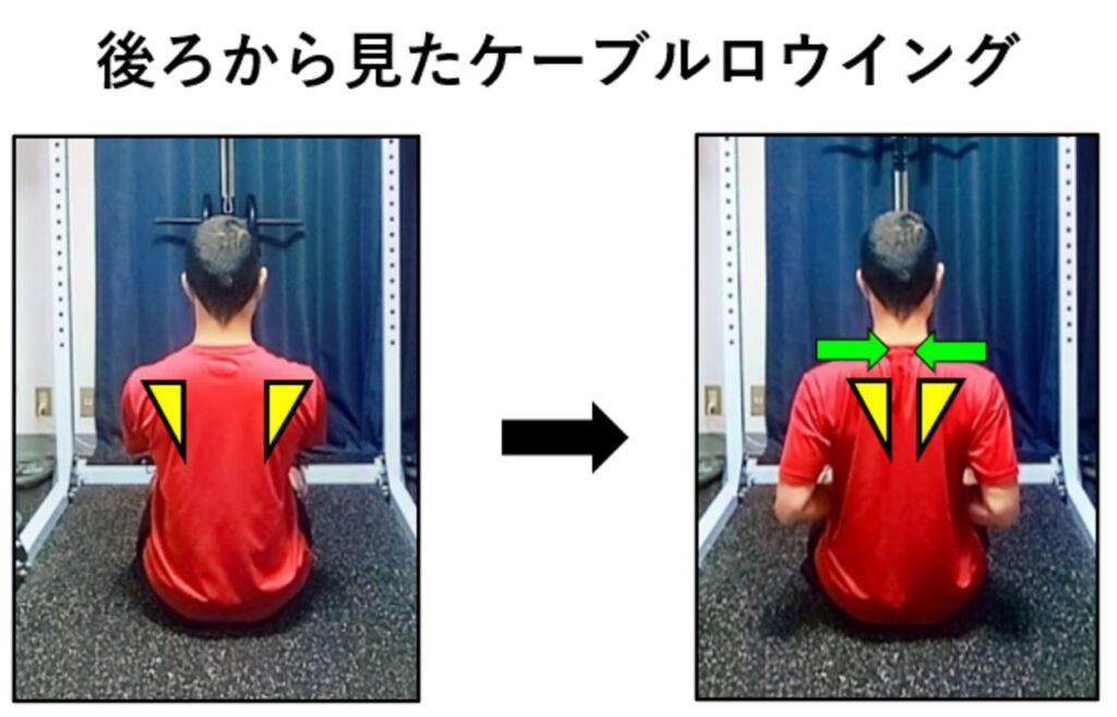 後ろから見たケーブルロウイング