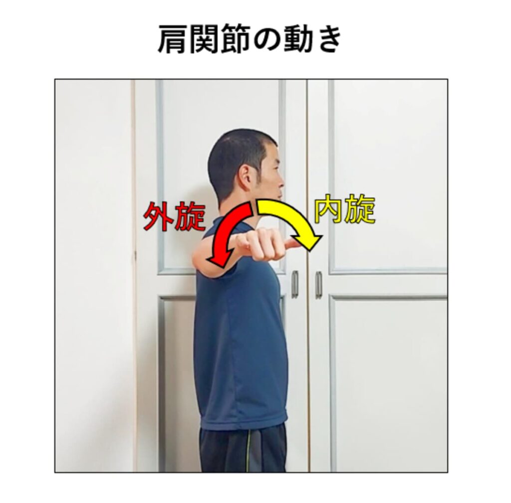 肩関節の内旋と外旋の解説