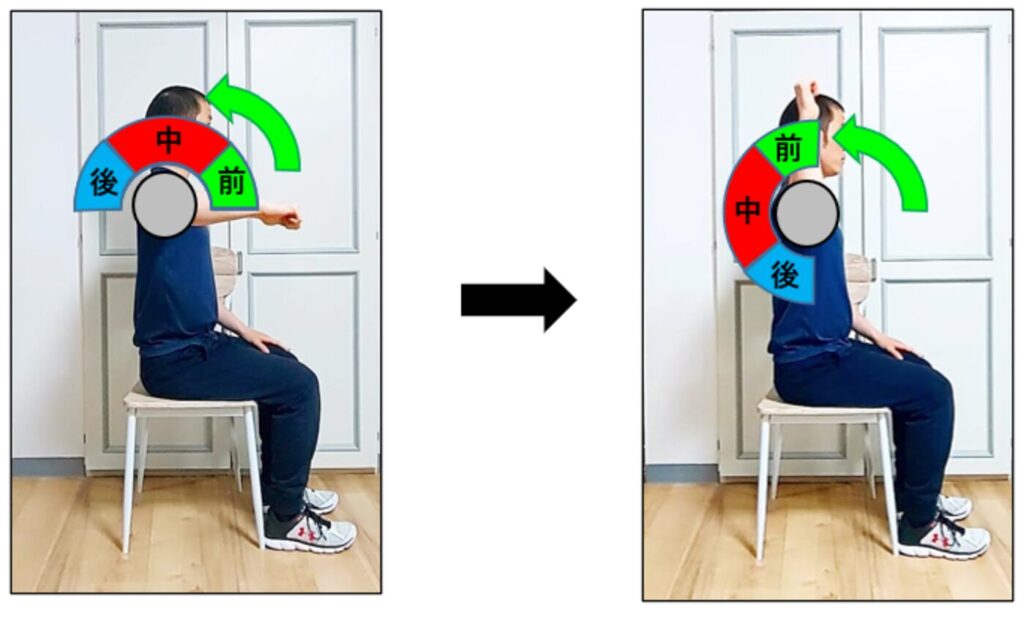 ショルダープレスで三角筋の前部が鍛えられる仕組みの説明