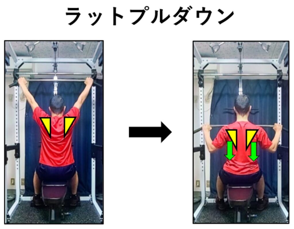 ラットプルダウンの紹介