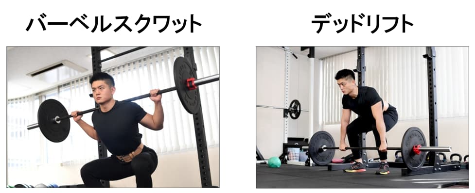 バーベルスクワットとデッドリフトの紹介
