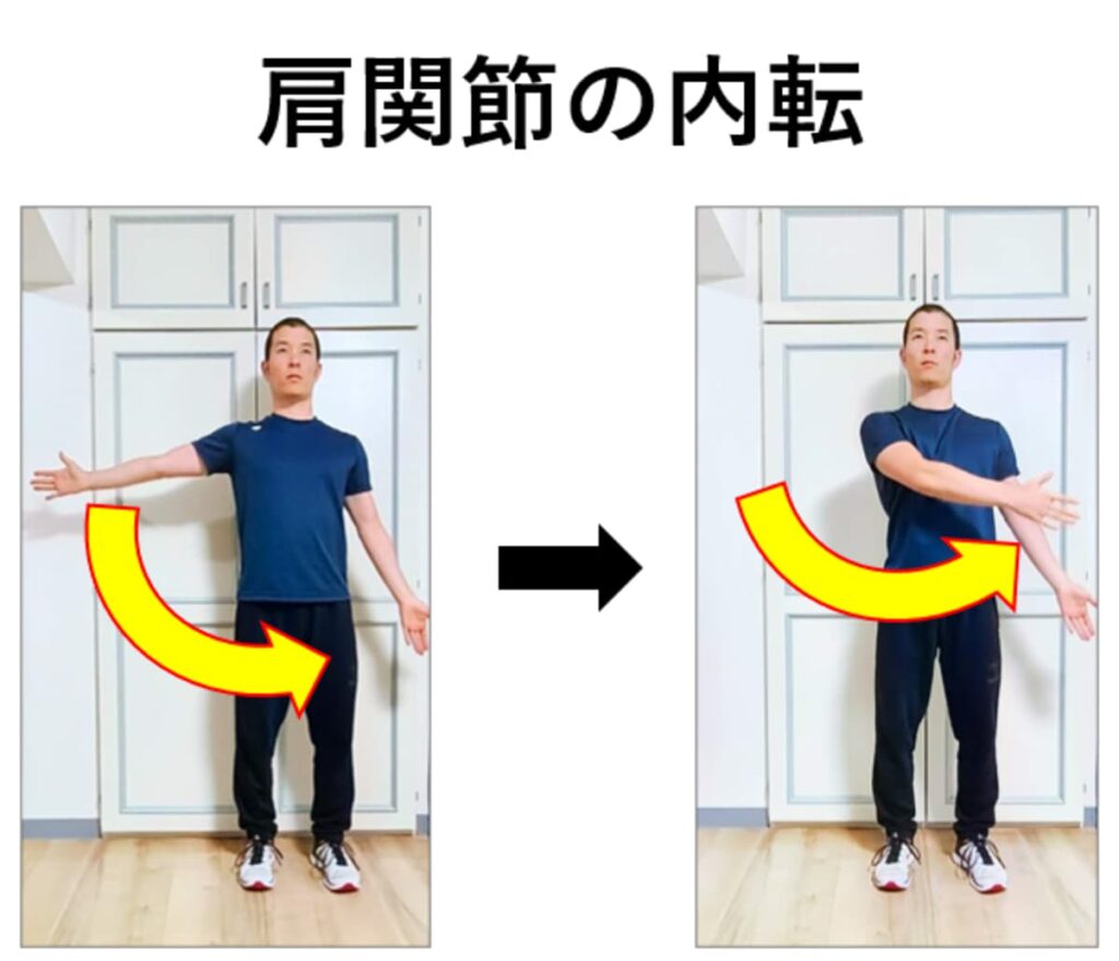 肩関節の内転の解説