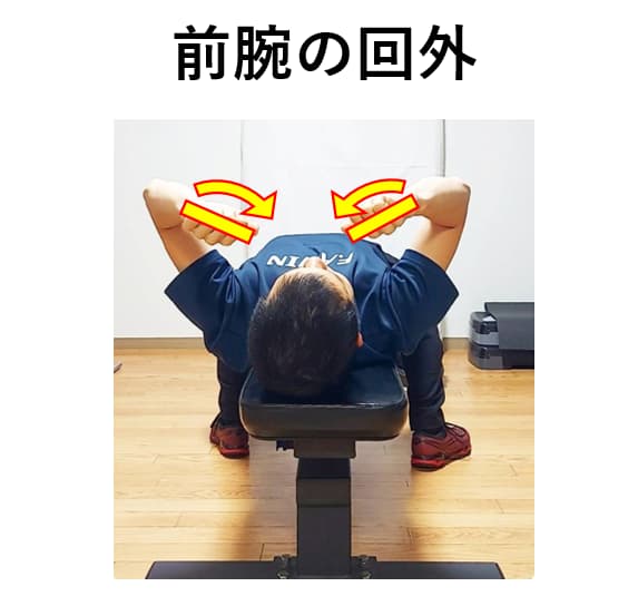 前腕の回外の説明