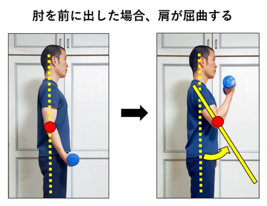肘を前に出して肩関節を屈曲させながら行うアームカールのやり方の説明