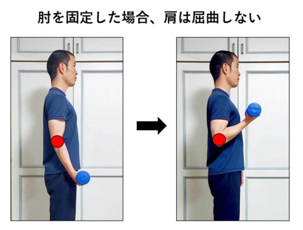 肘の位置を固定したアームカールのやり方の説明