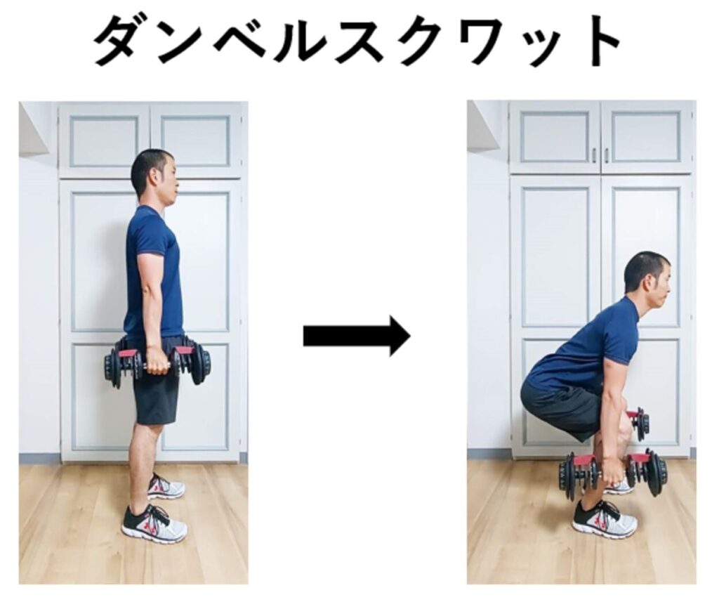 ダンベルスクワットの紹介