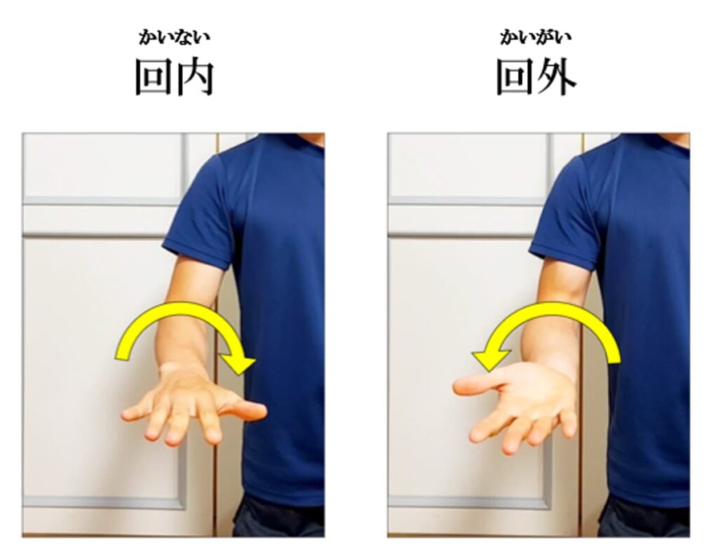 手首の回内、回外の説明