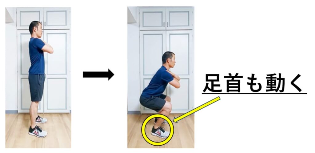 スクワットでの足首の動きの説明