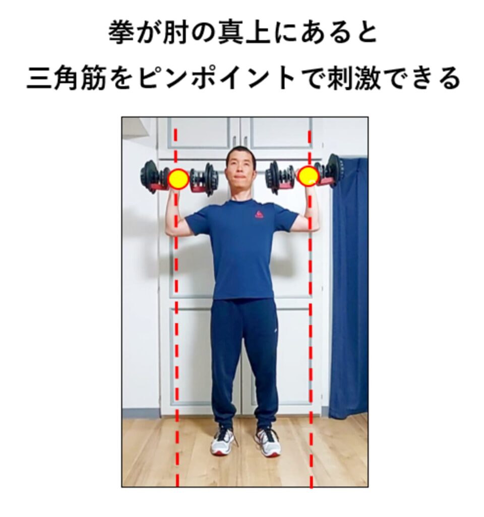 ダンベルショルダープレスでの肘と拳の位置関係の説明