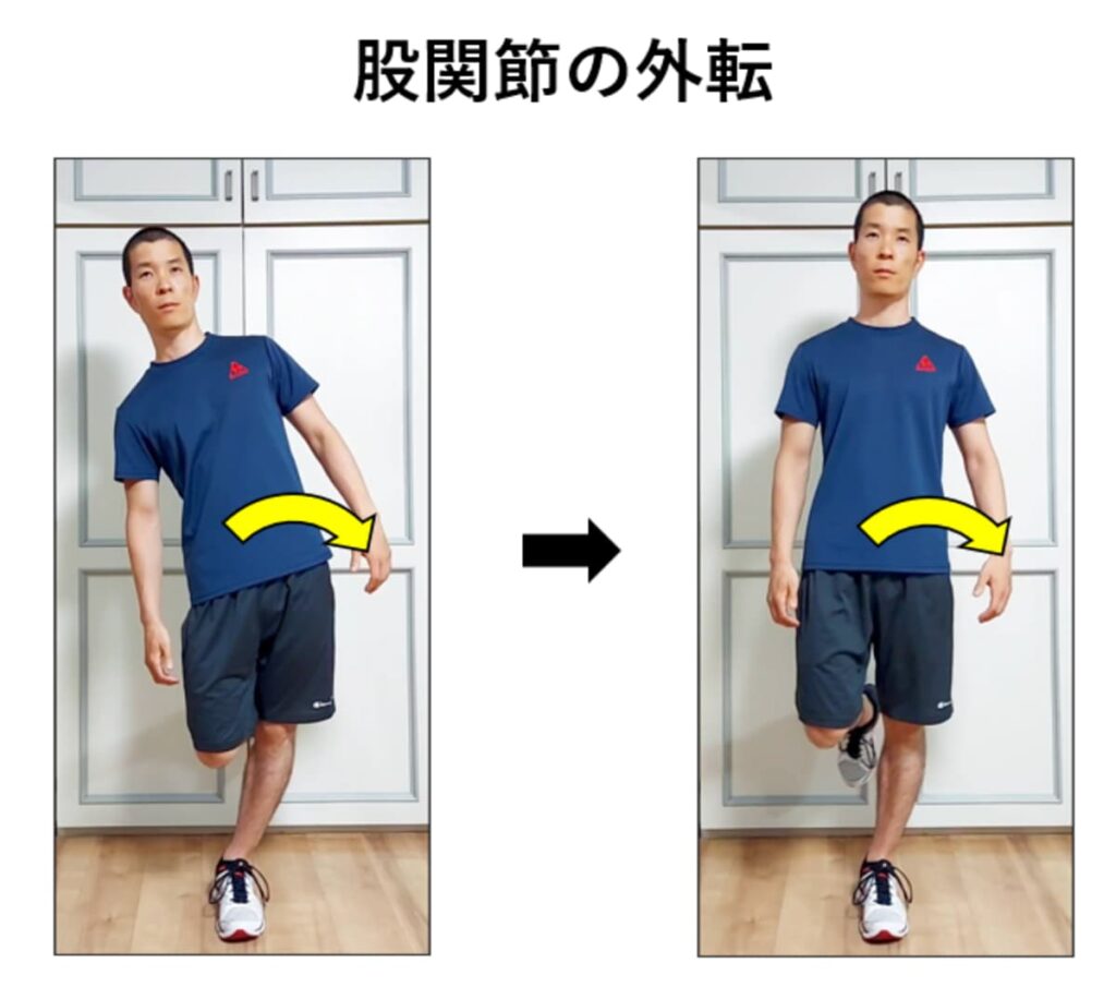 股関節の外転の解説