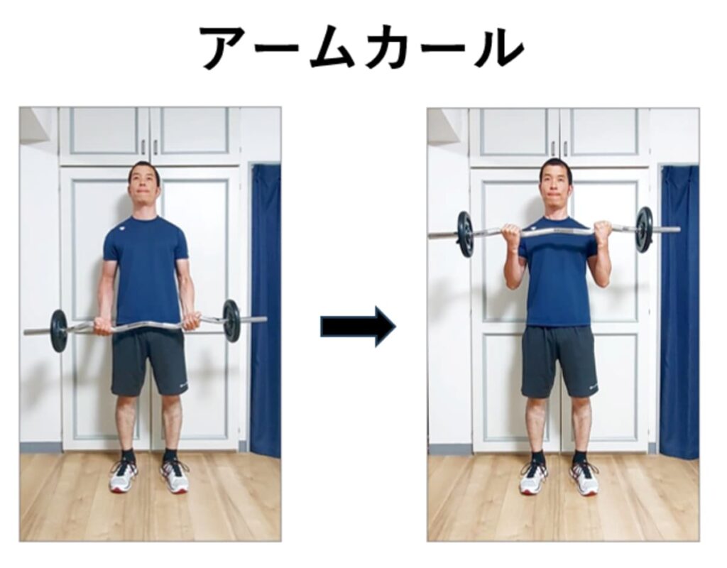 アームカールの紹介