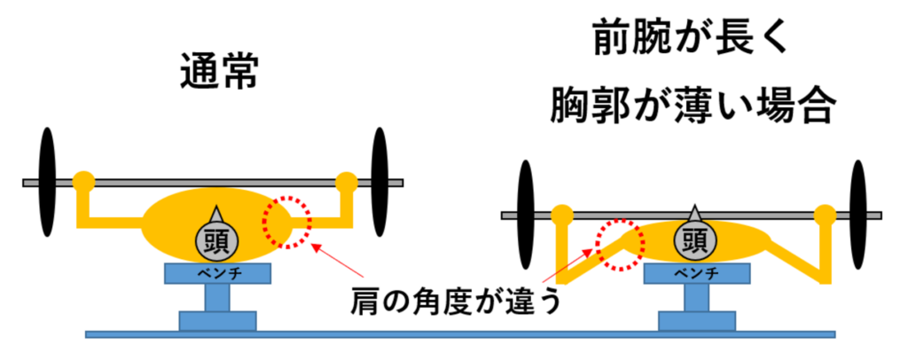 ベンチプレスでの前腕と胸板の厚みをあわせた比較