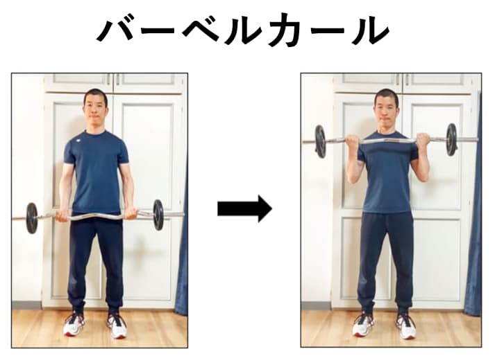 バーベルアームカールの紹介