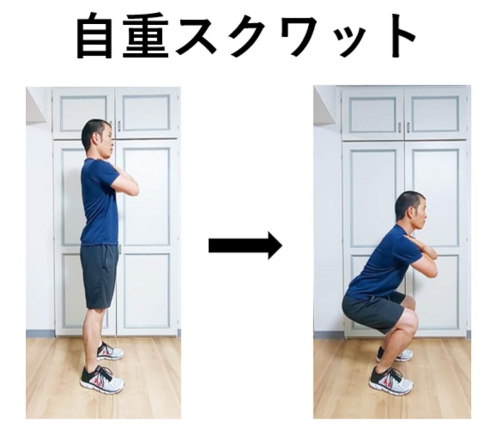 スクワットの紹介