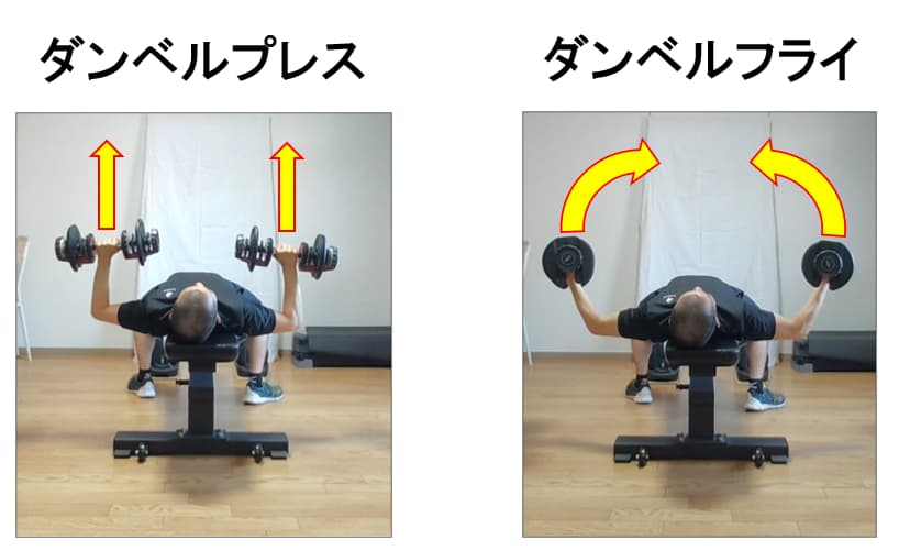 ダンベルプレスとフライの順番はダンベルプレスが先！