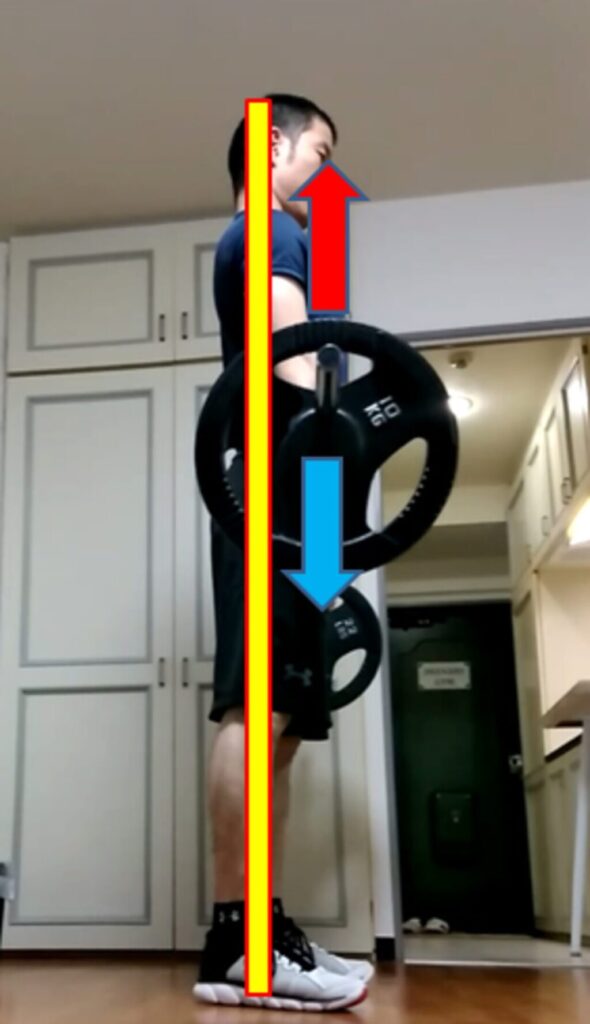 デッドリフトで気をつけの状態までは負荷と力を出す方向が釣り合っている説明