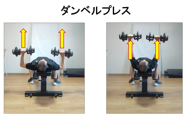 ダンベルプレスの動き方の説明