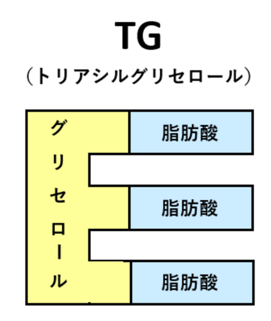 トリアシルグリセロールの説明