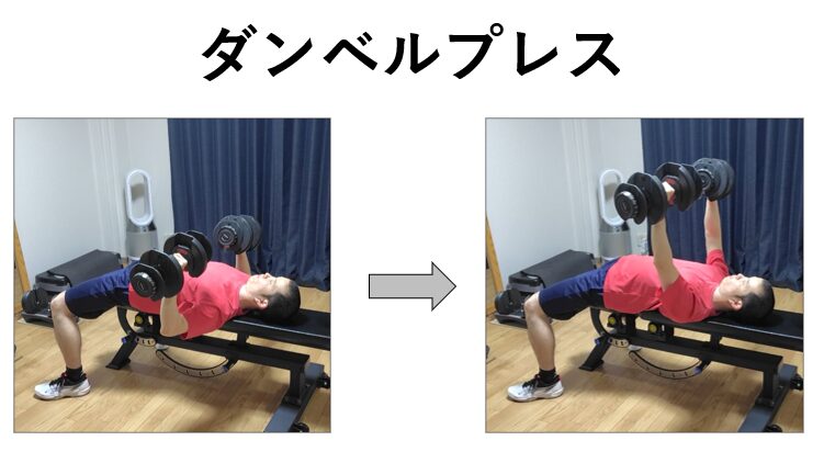 ダンベルプレスの紹介