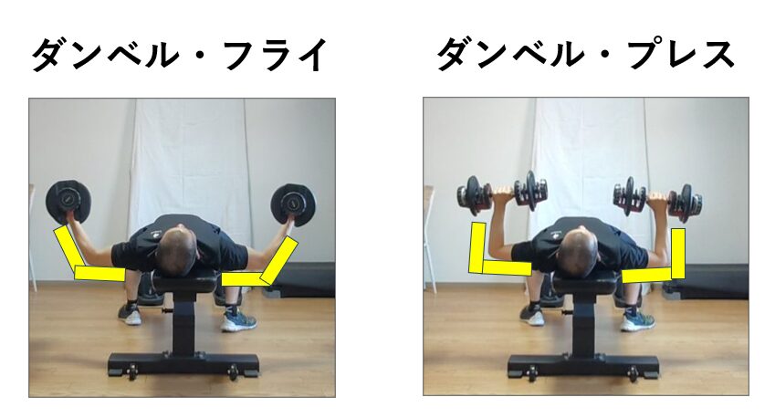 ダンベルフライとダンベルプレスの肘の角度の比較