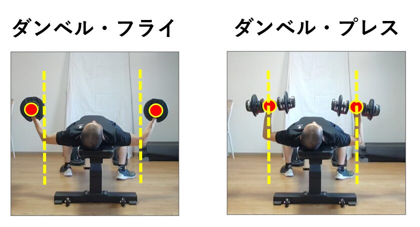 ダンベルフライとダンベルプレスの肘とダンベルの位置関係の比較