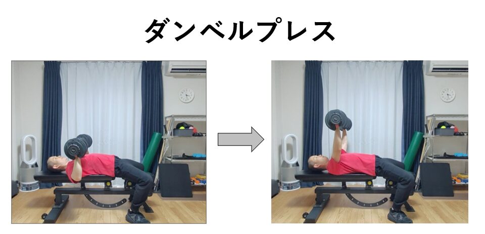 ダンベルプレスの紹介