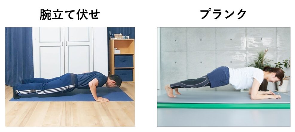 腕立て伏せとプランクの姿勢の比較
