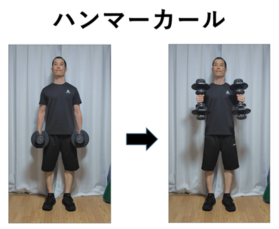ハンマーカールの紹介